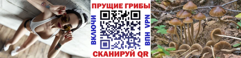 Псилоцибиновые грибы MAGIC MUSHROOMS где можно купить наркотик Кубинка